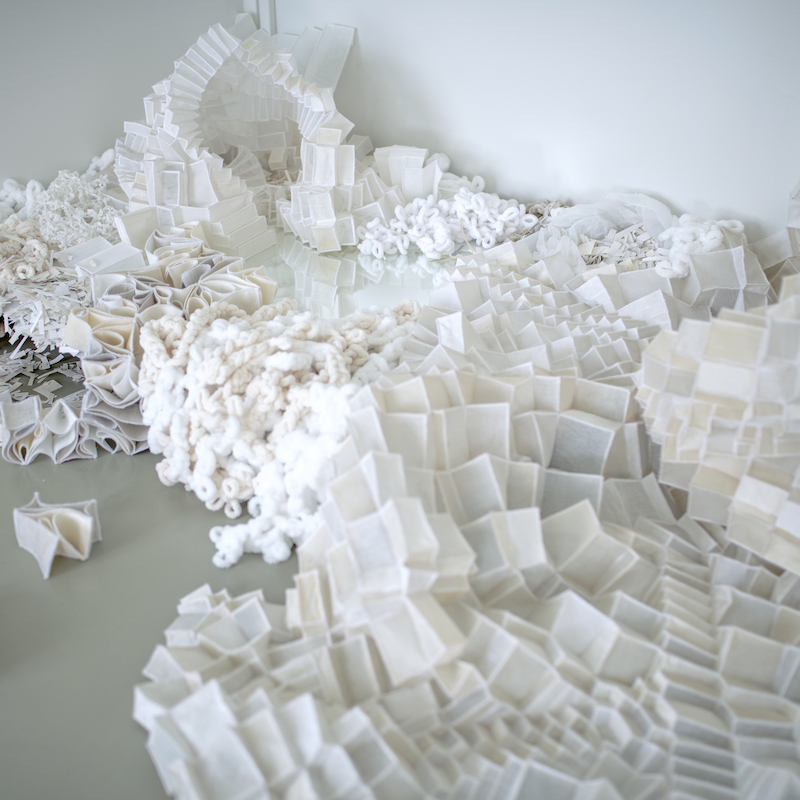 deepa-panchamia-fabric-fields
